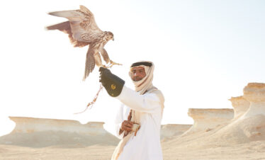 VIP Falconry Experience – World Cup