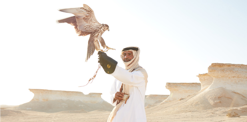 WorldCup_0009_VIP-Falconry2