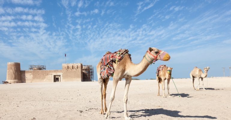 camel-riding-qatar