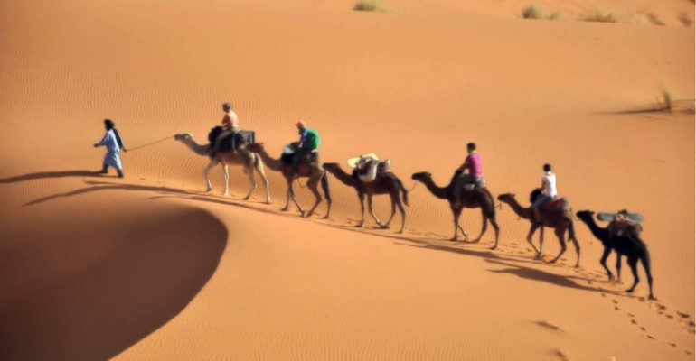 desert-camel-riding-qatar